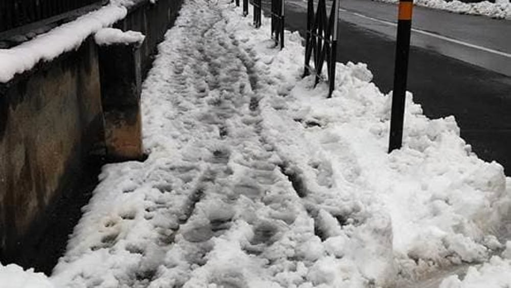 CASSAZIONE 23 DICEMBRE 2020, N. 29465